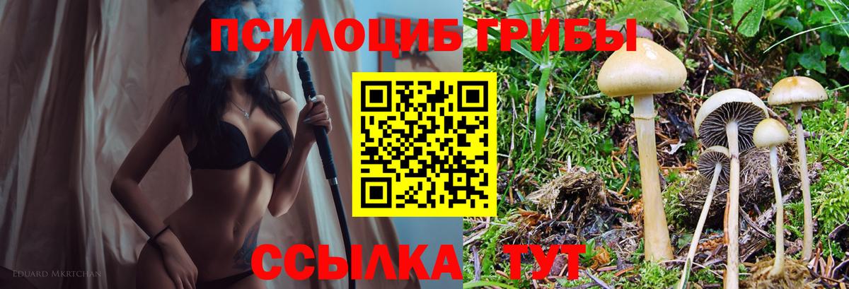 закладка  Псилоцибиновые грибы GOLDEN TEACHER  Вход с VPN  Галлюциногенные грибы Magic Shrooms  Щёкино 